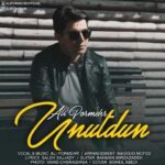 Download Music Ali Pormehr – Unutdun
