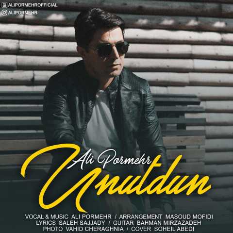 Download Music Ali Pormehr - Unutdun