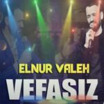 Download Music Elnur Valeh – Vefasiz