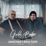 Download Music Jamshid Najafi – Galdi Baba