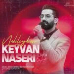 Download Music Keyvan Naseri – Remix Nabileydim