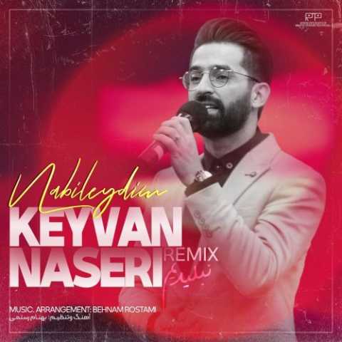 Download Music Keyvan Naseri - Remix Nabileydim