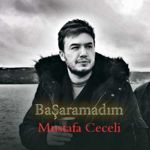 Download Music Mustafa Ceceli - Basaramadim