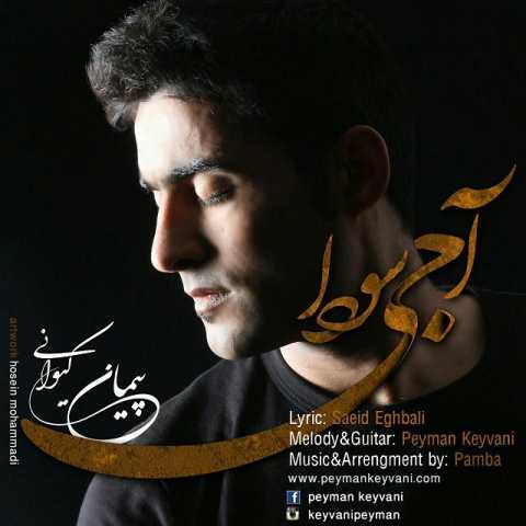 Download Music Peyman Keyvani - Aji Sevda