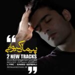 Download Music Peyman Keyvani - Hardan Deim Sana 2 Download Music Peyman Keyvani – Hardan Deim Sana