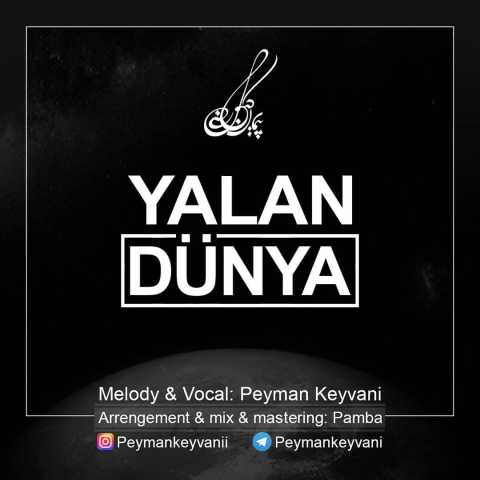 Download Music Peyman Keyvani - Yalan Dunya