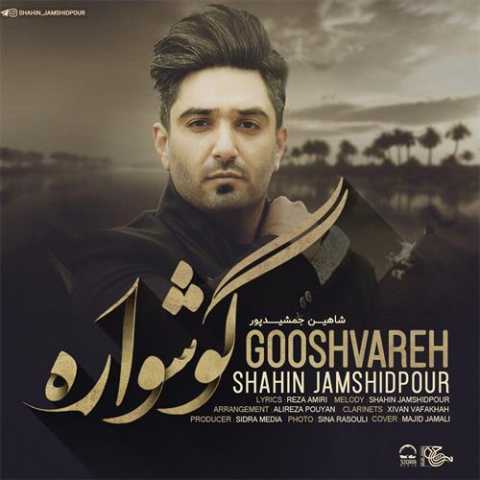 Download Music Shahin Jamshidpour - Goshvara