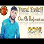 Download Music Tural Sedali – Ona Ele Baglanmisam