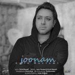 Download Music Amin Rostami – Joonam