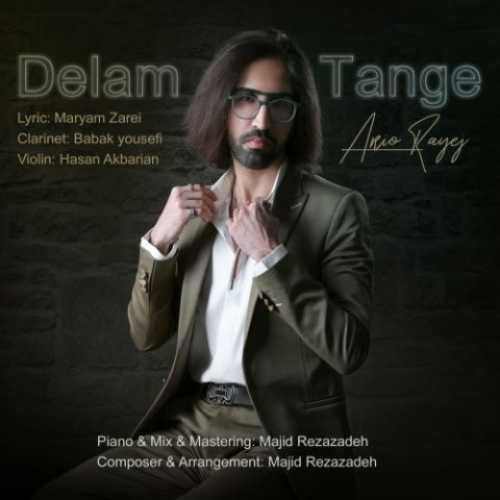 Download New Music By  Ario Rayeji Called Delam Tange