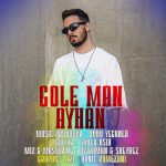 Download Music Ayhan – Gole Man