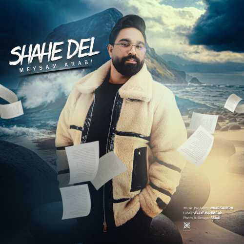 Download New Music By  Meysam Arabi Called Shahe Del