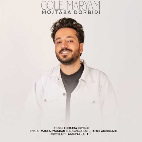Download New Music By  Mojtaba Dorbidi Called Gole Maryam