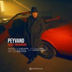 Download Music Peyvand – Dooret Migardam
