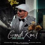 Download Music Sina Sarlak – Goosh Kon