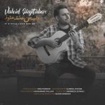 Download Music Vahid Hajitabar – Vase Man Eshghe Hanooz