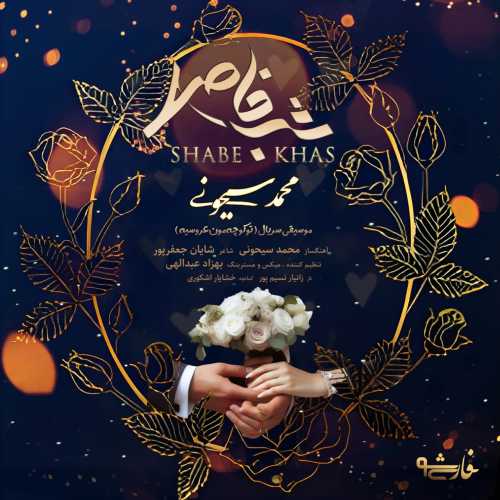 Download New Music By  ​Mohammad Seyhooni Called Shabe Khas
