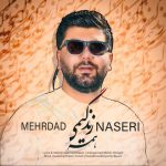 Download Music Mehrdad Naseri – Hameye Zendegimi