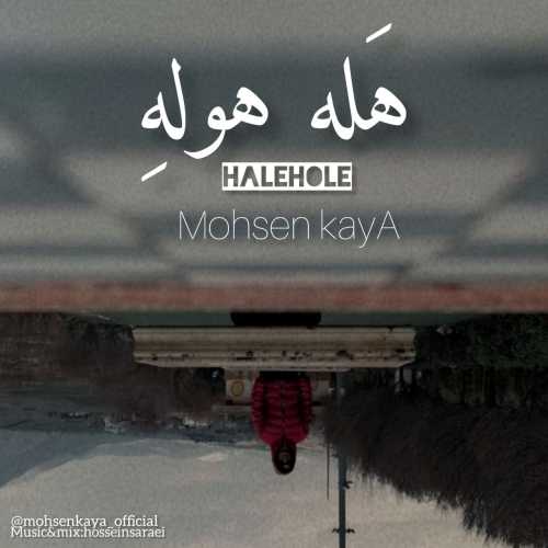 Download New Music By  Mohsen Kaya Called Hale Hole