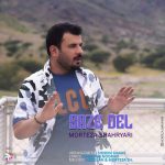 Download Music Morteza Shahryari – Saze Del