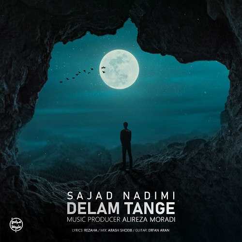 Download New Music By  Sajad Nadimi Called Delam Tange