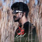 Download Music Shahin Hoseinpoor – Del