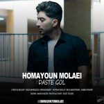 Download Music ​Homayoun Molaei – Daste Gol