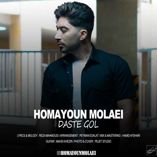 Download New Music By  ​Homayoun Molaei Called Daste Gol