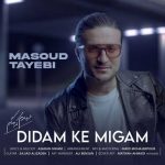 Download Music Masoud Tayebi – Didam Ke Migam