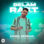 Download Music Saeed Kermani – Delam Raft