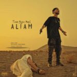 Download Music Aliam – Toam Eyne Mani