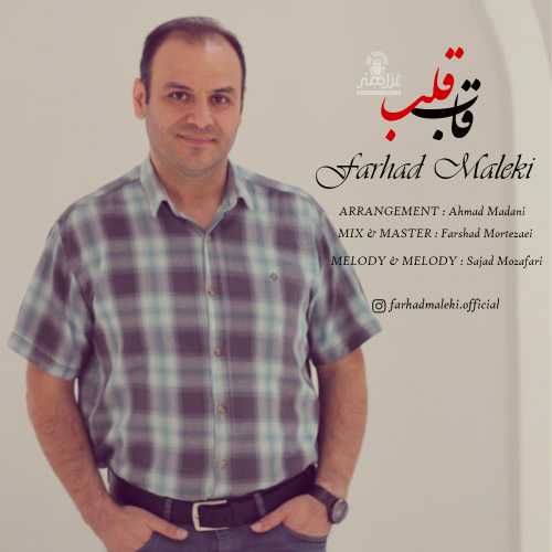 Download New Music By  Farhad Maleki Called Ghabe Ghalb