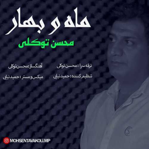 Download New Music By  Mohsen Tavakoli Called Mah O Bahar