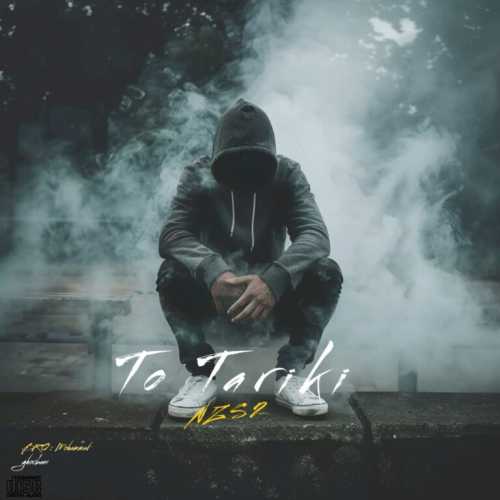 Download New Music By  NZS2 Called To Tariki