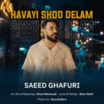 Download Music Saeed Ghafuri – Havayi Shod Delam