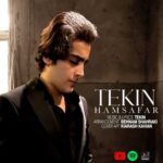 Download Music Tekin – Hamsafar