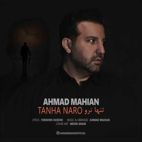 Download New Music By  Ahmad Mahian Called Tanha Naro