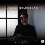 Download Music Arad Alavi – Gole Goldoonam