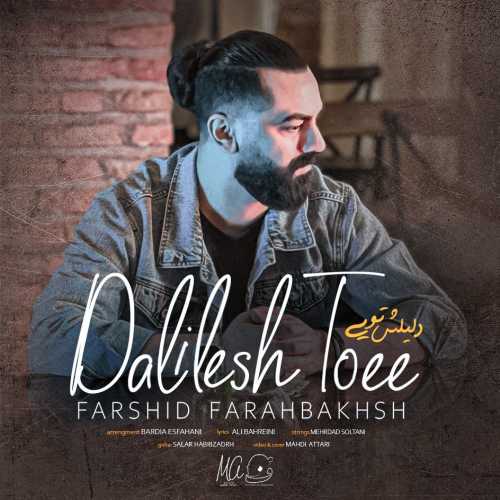 Download New Music By  Farshid Farahbakhsh Called Dalilesh Toee