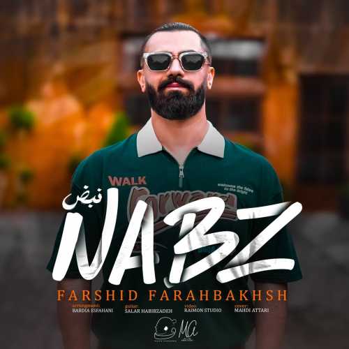 Download New Music By  Farshid Farahbakhsh Called Nabz