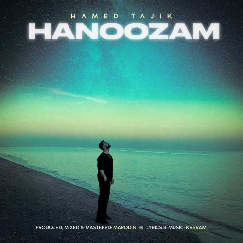 Download New Music By  Hamed Tajik Called Hanoozam
