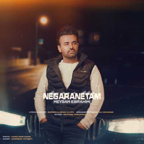 Download New Music By  Meysam Ebrahimi Called Negaranetam