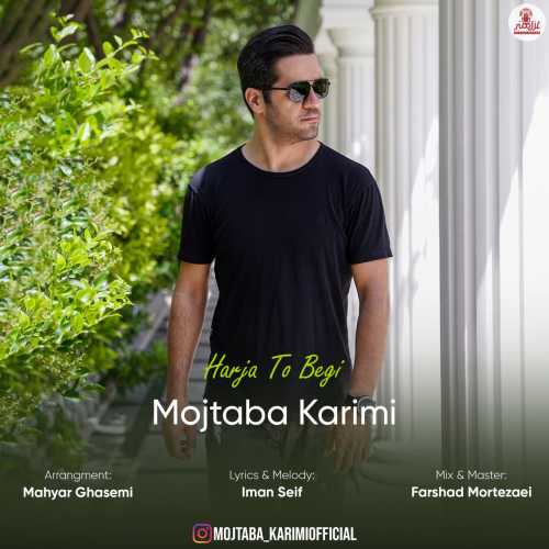 Download New Music By  Mojtaba Karimi Called Harja To Begi