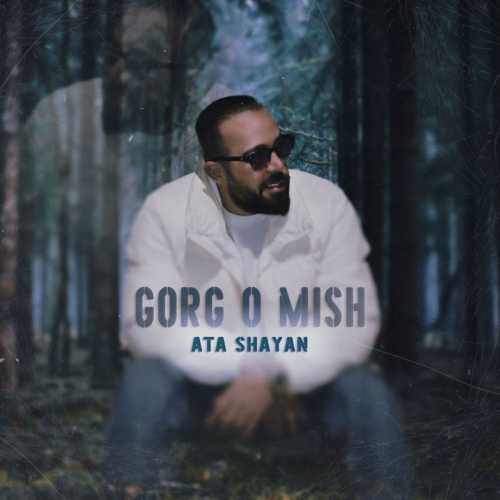 Download New Music By  Ata Shayan Called Gorg o Mish