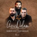 Download Music Farshid Farahbakhsh , Naser Abdollahi – Azize Delam