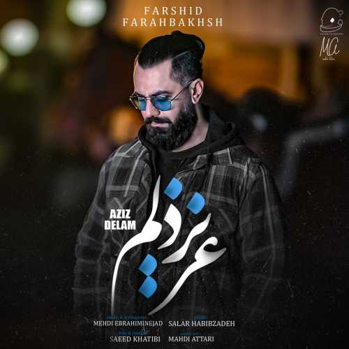 Download New Music By  Farshid Farahbakhsh Called Azize Delam