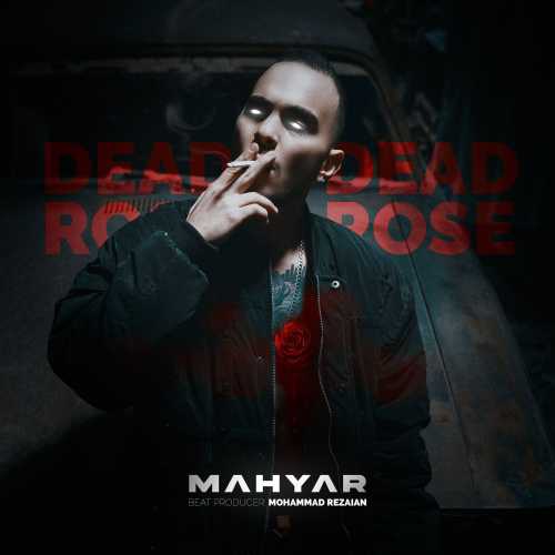 Download New Music By  Mahyar Called Dead Rose