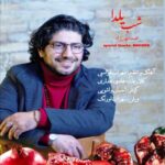 Download Music Mohammad Mehrzad – Shabe Yalda