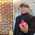 Download Music Mostafa Dehghani Saba – Shabe Chelle Shabe Yalda