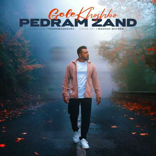 Download New Music By  Pedram Zand Called Gole Khoshboo